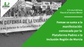 Femae acudirá a la manifestación de la Plataforma Padres X la Inclusión en defensa de los derechos de los estudiantes con necesidades educativas especiales
