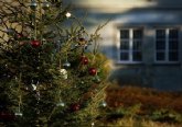 El Ayuntamiento inicia una campaña de recogida de rboles naturales de Navidad