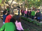 Alumnos del programa mixto de Empleo y Formacin se implican con los huertos escolares