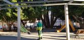 Sermubeniel y el Ayuntamiento de Beniel inician una campaña de mantenimiento de los Ficus del municipio