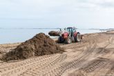 Infraestructuras contina con el mantenimiento y limpieza de las playas del litoral cartagenero