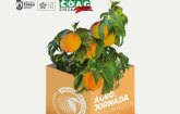 El gran espectculo de la floracin en la comarca de Cieza iniciara el 20 de febrero