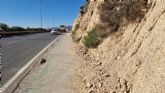 El PSOE de Lorca denuncia el lamentable estado de abandono del carril bici de la Avenida Fuerzas Armadas