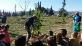 Alumnos del Colegio Castellar plantan pinos en la zona de Los Cantos