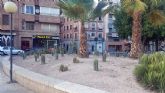 60 variedades de cactus para una xerojardinera pblica ms eficiente