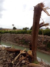 Cambiemos Murcia pide al Ayuntamiento la supervisin ambiental y cultural en la monda de las acequias