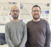 Investigadores de la UMU desarrollan una herramienta para prever incendios forestales con un 70% de eficacia en zonas de riesgo