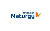 Fundacin Naturgy retoma las sesiones de la Escuela de Energa con webinars para profesionales de los Servicios Sociales