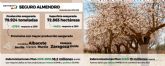 El almendro gana peso dentro del seguro agrario: la produccin asegurada crece un 278% en cinco anos