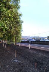 PODEMOS Arco Norte denuncia que El Ranero contina sin vallas antirruido