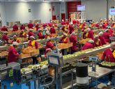 Moyca inicia el proceso de contratación de más de 6.000 personas para la campaña 2026