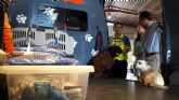Lorca se une a un servicio pionero y gratuito de recogida y cuidado de mascotas