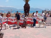 La bobtail 'Valentina' ha sido la campeona absoluta del IX concurso canino de Puerto de Mazarrón