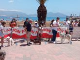 La bobtail 'Valentina' ha sido la campeona absoluta del IX concurso canino de Puerto de Mazarrn