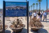 Un nuevo Sendero Azul conecta el centro de Cartagena con Cala Cortina