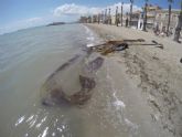 Brigadas de inspección de fondos submarinos limpiarán las playas Carrión y Manzanares