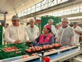 La fruta de hueso de la Regi�n de Murcia llega a m�s de 50 pa�ses y alcanza un r�cord de 332 millones de euros en exportaciones de 2025