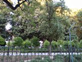 El PSOE lamenta que el Ayuntamiento sea 'incapaz' de tener abierto el Jardn de Floridablanca por 'falta de previsin'