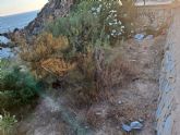 El PSOE de Cartagena denuncia la suciedad, plsticos y basuras en Cala Cortina