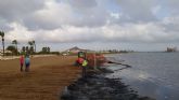 Cerca de una treintena de operarios trabajan en la retirada de biomasa en las playas del sur del Mar Menor