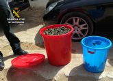 La Guardia Civil sorprende a cinco personas capturando gran cantidad de caracolas de mar sin autorizacin en Playa Honda