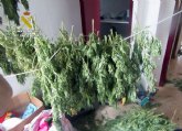 La Guardia Civil desmantela un grupo criminal integrado por jóvenes presuntamente dedicado al robo en viviendas y al cultivo de marihuana