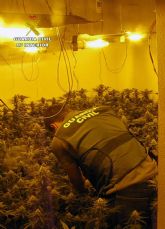 La Guardia Civil desmantela en Librilla un grupo criminal dedicado al cultivo ilícito de marihuana
