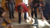 La Concejala de Salubridad ofrece terapia con animales para personas con discapacidad
