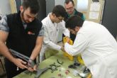 Nido Robotics y alumnos de Cartagena impulsan un robot submarino para retirar plsticos del mar
