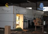 Desmantelan en Cartagena un invernadero clandestino dedicado al cultivo de marihuana