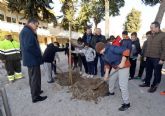 El Ayuntamiento comienza el 2020 con nuevas plantaciones de rboles para alcanzar los 200.000 en esta dcada
