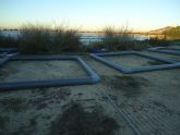 Hidrogea y ANSE inician la instalacin de 5 islas de gran tamaño para la nidificacin de aves acuticas en la EDAR de Cabezo Beaza