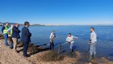 El Gobierno regional invertir casi 8,5 millones de euros en retirar biomasa y ova del Mar Menor entre abril y septiembre