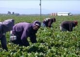 Unión de Uniones pide extremar precauciones para evitar contraer COVID-19 a los agricultores y sus trabajadores