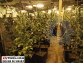 La Polica Local de Molina de Segura descubre una plantacin de marihuana oculta en una nave