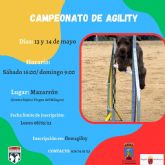 Campeonato de agility en Mmazarrón