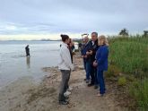 El Gobierno regional refuerza la vigilancia y la retirada de biomasa tras las lluvias torrenciales registradas en el entorno del Mar Menor
