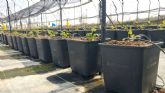 Greenvass presenta su nueva lnea de macetas para cultivo hidropnico