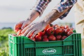 Este verano Alvalle producirá más de 25 millones de litros de gazpacho desde su nueva planta a la vanguardia en sostenibilidad