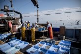 Pescadores de la Región de Murcia extraen 5.660 kg de basura marina en 2019 gracias a Upcycling The Oceans