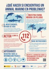 El Ayuntamiento de Lorca colabora un a&ntilde;o m�s con la Fundaci�n Oceanogr�fic para proteger los animales marinos durante el periodo estival