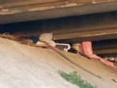 La falta de respuesta municipal al problema de los “sin techo” que viven bajo el Puente de San Diego agrava la situación de insalubridad e inseguridad