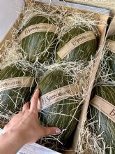 El Secreto de Mi Tierra aumenta un 13% las ventas de mel�n de piel de sapo