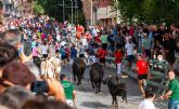 Los imponentes novillos de Fuente Ymbro cierran los encierros de Calasparra 2025