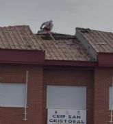 MC: La negligencia y la incapacidad del PP condicionan el inicio del curso en El Boho