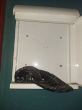 IU-Verdes y PCE de Molina de Segura denuncian pintadas neonazis y ataques a su local