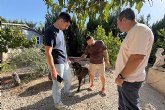 M�s de 500 personas convierten el final del verano en solidaridad para la Protectora Vida