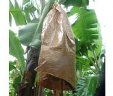 Smurfit Kappa lanza una nueva alternativa sostenible para los productores de pltanos y bananas