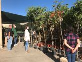 El Ayuntamiento planta ms de 1.800 rboles y arbustos en distintas zonas de la localidad