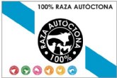 Autorizado el uso del logotipo '100% Raza Autctona' a la Asociacin de Criadores del Cabalo de Pura Raza Galega